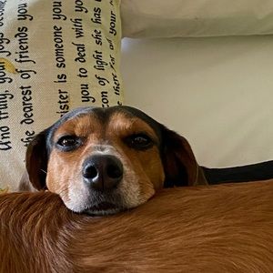 Meet your Posher, Mary